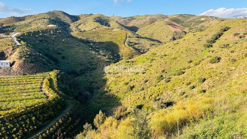 Foto b6814710-0245-4145-a3f8-3f35effa5f98. Finca rústica a Norte - Barrio del Pilar - El Reñidero Vélez - Málaga