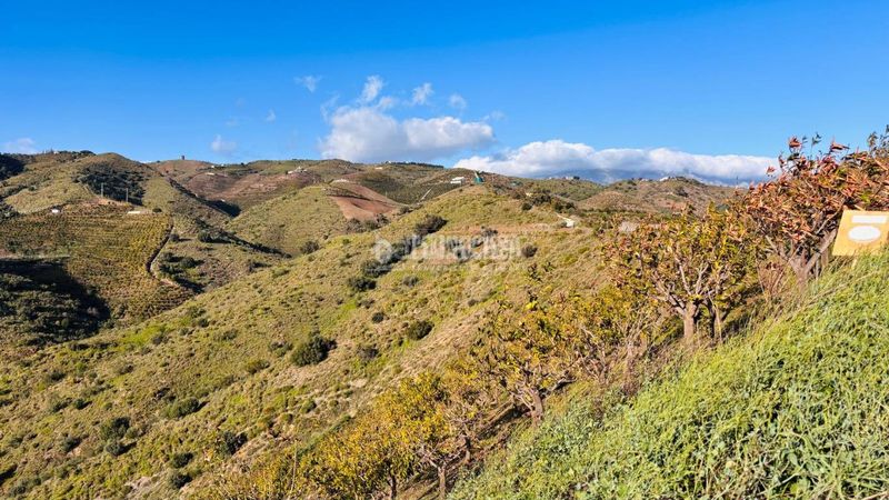 Foto c36f65a1-25c4-43b1-8cbf-3a29ff8a84e1. Finca rústica a Norte - Barrio del Pilar - El Reñidero Vélez - Málaga