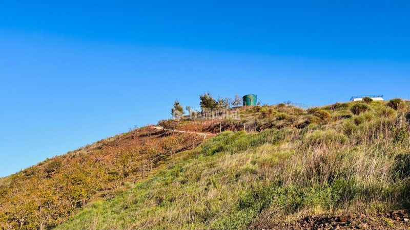 Foto c78efa14-3cd8-44e5-a8bd-c98beb480ae0. Finca rústica a Norte - Barrio del Pilar - El Reñidero Vélez - Málaga