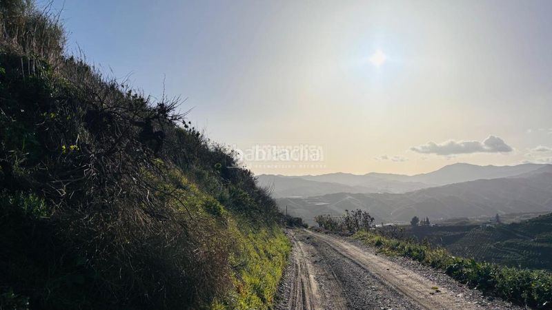 Foto d2103681-eb53-4479-af03-0f14c383db86. Finca rústica a Norte - Barrio del Pilar - El Reñidero Vélez - Málaga