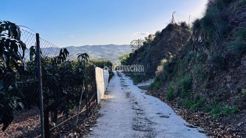 Foto f4ce04ce-2e63-4a3b-8631-9cb63d295f8f. Finca rústica a Norte - Barrio del Pilar - El Reñidero Vélez - Málaga