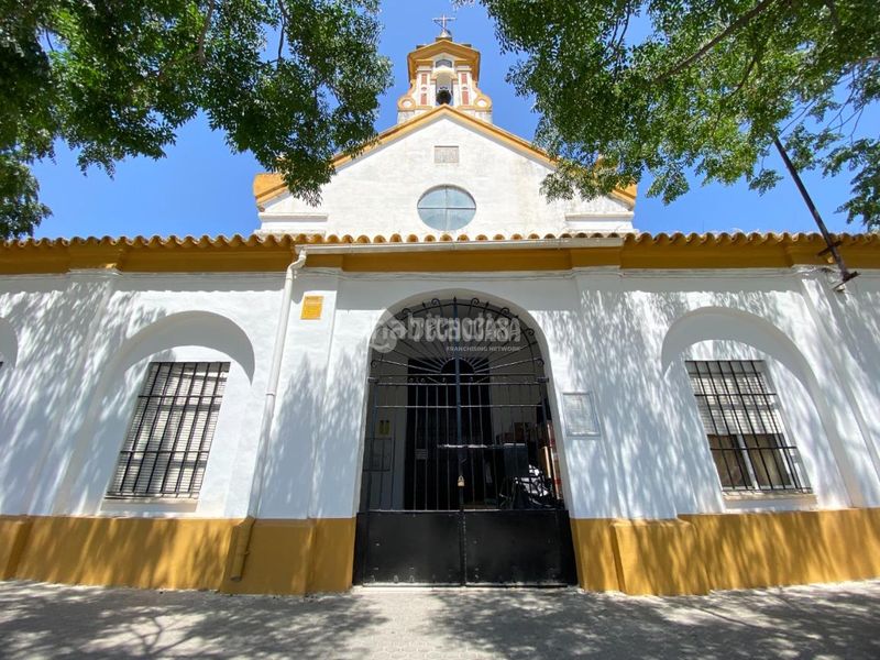 Foto 0da76fd9-8fbb-40a5-a7d6-b473b57944b3. Pis a San Jerónimo - La Bachillera Sevilla
