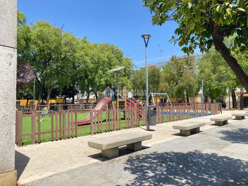 Foto bac9ba18-ce99-4bb2-81c5-5c57185cd8f6. Pis a San Jerónimo - La Bachillera Sevilla