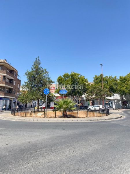 Foto c306873d-45f3-4f67-b987-25da73b36039. Pis a San Jerónimo - La Bachillera Sevilla