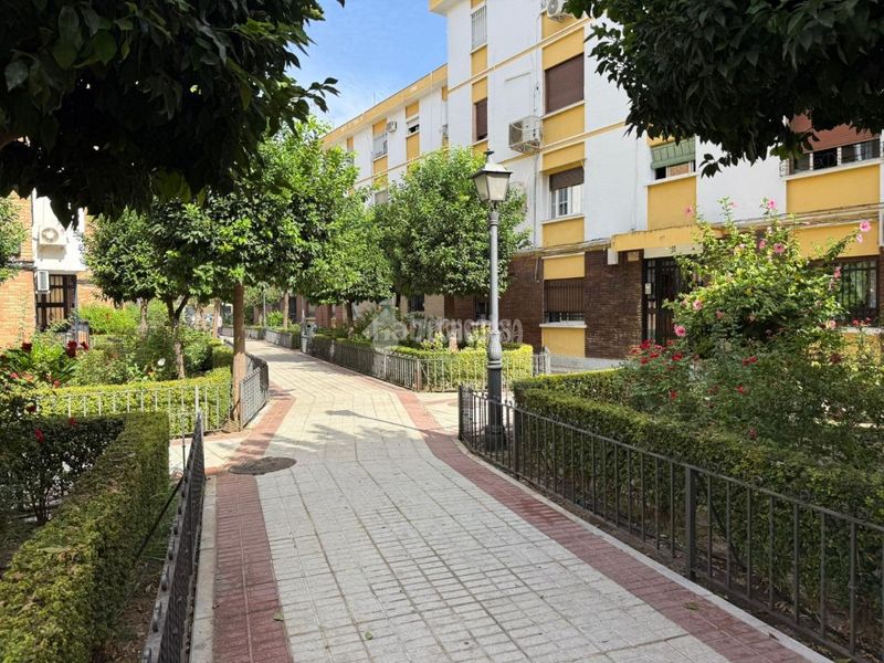 Foto 10b0121b-2088-4973-950d-bd9718967adc. Pis a San Jerónimo - La Bachillera Sevilla