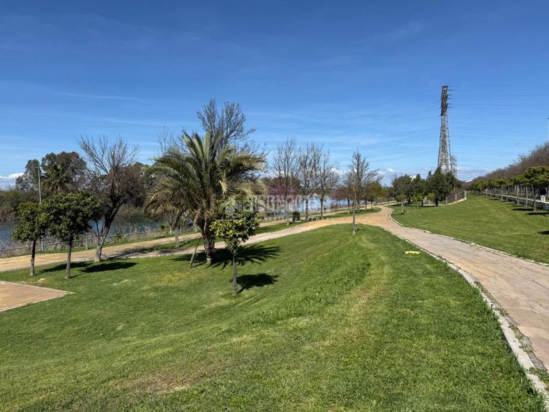 Foto d14daa89-5b8d-4a97-98a9-7c3bd2530a14. Casa aparellada a San Jerónimo - La Bachillera Sevilla