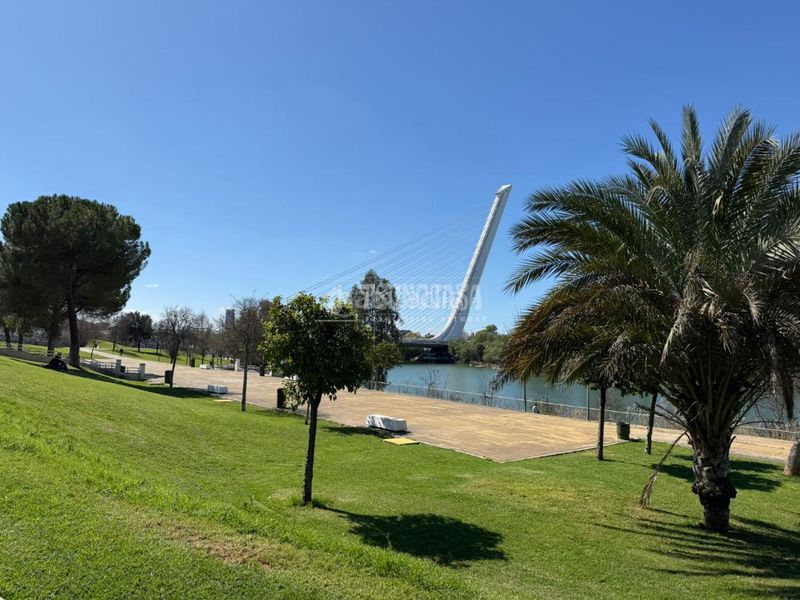 Foto e2935daa-4fac-454c-b857-900b73368c55. Casa aparellada a San Jerónimo - La Bachillera Sevilla