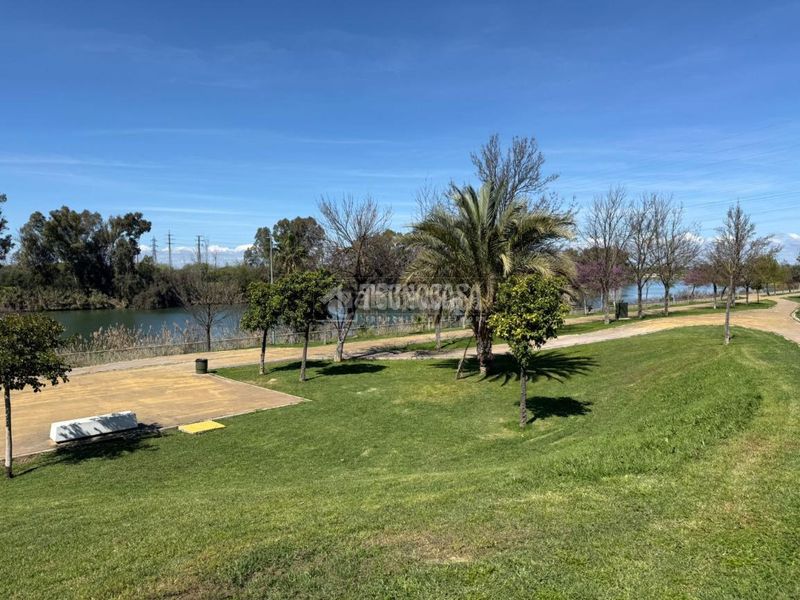 Foto f2755d30-839d-4442-a0dd-37dc7c86529e. Casa aparellada a San Jerónimo - La Bachillera Sevilla