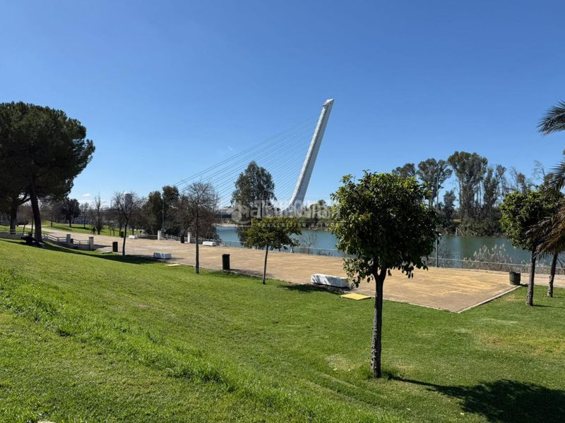 Foto fadd7688-dddb-4231-abe1-4c01c55a4ec1. Casa aparellada a San Jerónimo - La Bachillera Sevilla