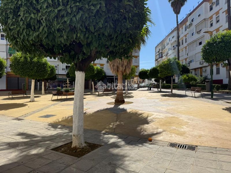 Foto 4aa80072-c120-4756-9d27-d6affec976dd. Pis a San Jerónimo - La Bachillera Sevilla