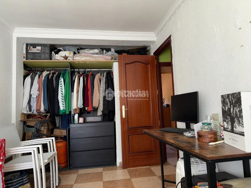 Foto cfb0f674-3cd8-4bdc-8bfe-57b5b504d95a. Pis a San Jerónimo - La Bachillera Sevilla