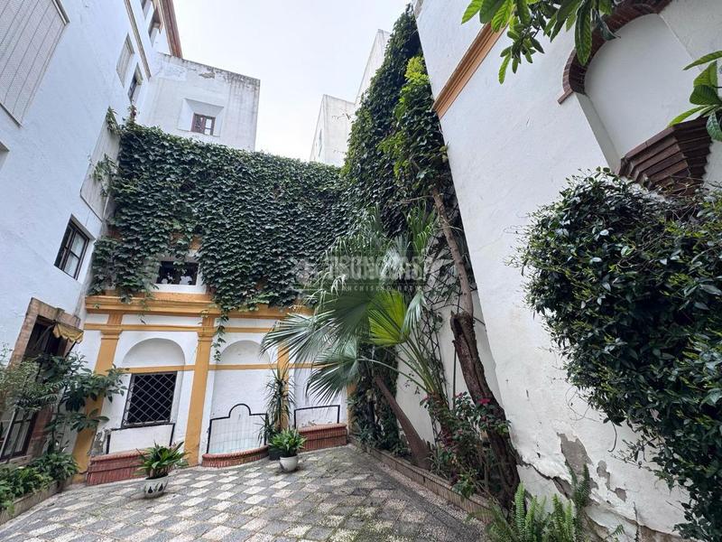 Foto 0e9318f2-2271-4b54-b876-db9176d18907. Pis a San Vicente Sevilla