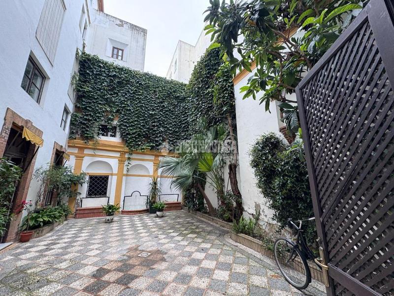 Foto 945bdf66-1a39-410a-b84a-b12086086491. Pis a San Vicente Sevilla