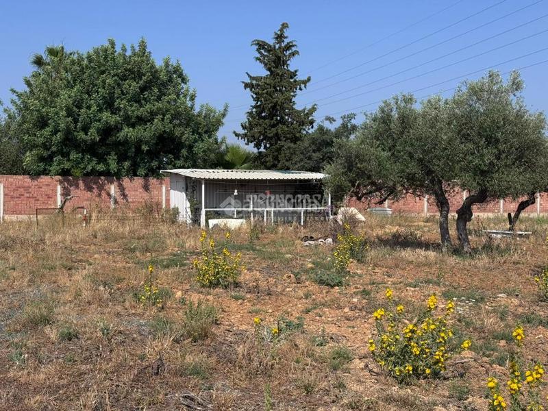 Foto 2c30912b-3fb3-44fb-8dc1-fae79c63db17. Finca rústica terrenos en venta en Carmona