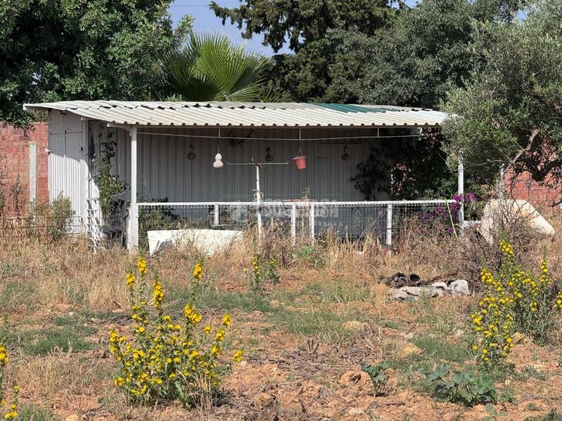 Foto 4d70daec-9ab2-432c-9b1f-70c04528bca0. Finca rústica terrenos en venta en Carmona