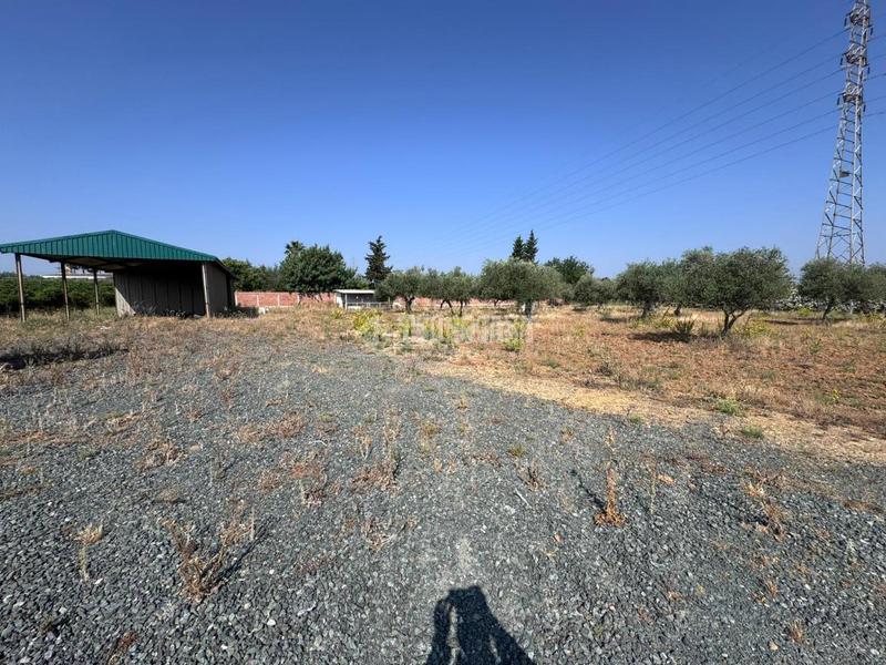 Foto 98c93df4-2d55-4482-a111-cbe659aa7f02. Finca rústica terrenos en venta en Carmona