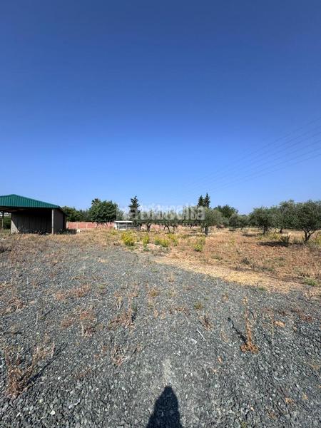 Foto c13b7d76-dd89-473a-a74d-3c5d64597e31. Finca rústica terrenos en venta en Carmona