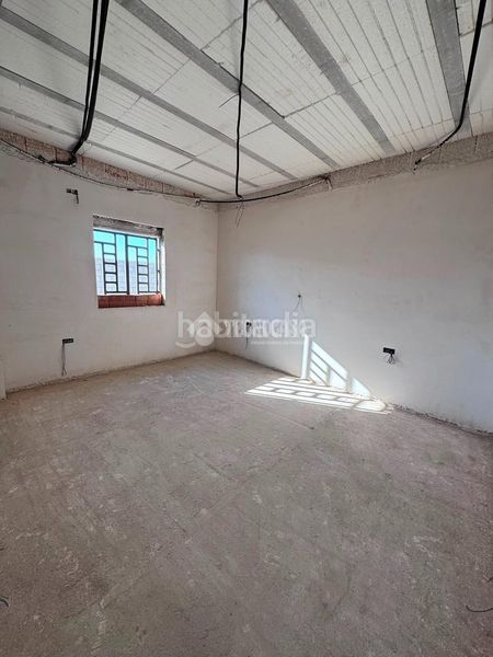 Foto bf35568b-89e2-4072-85a9-b0f2d741fbfb. Pis a Carmona