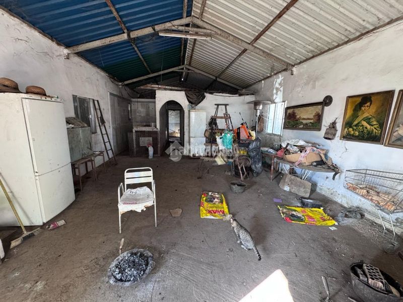 Foto a708ee6e-8363-4a01-adda-2d0c7e5ae627. Finca rústica a Torreblanca Sevilla