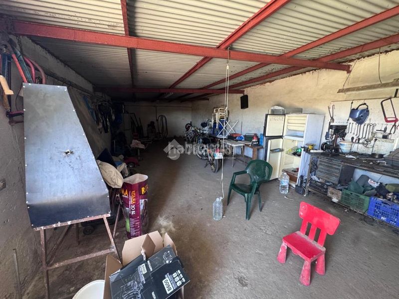 Foto d36ce793-8b34-4541-95c3-76325ef257f2. Finca rústica a Torreblanca Sevilla