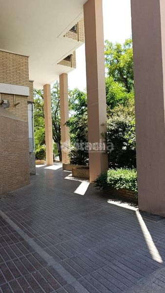 Foto 4b4d9915-b2b0-42c9-b039-c6a726124c43. Pis a Urbadiez - Entrepuentes Sevilla