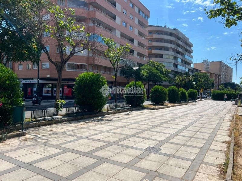 Foto b1337a29-5ede-4825-b86b-3abc5200b60b. Pis a La Granja Zaragoza