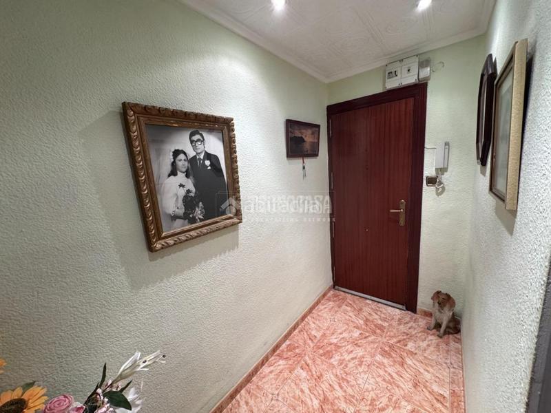 Foto 1ab9d0db-7c5e-422f-a5b6-54ec2abea7c4. Pis a El Alborgí Paterna