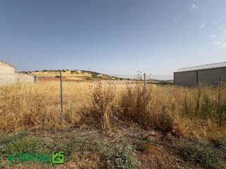Residential Plot in Alcolea de Calatrava. Terrenos en venta en alcolea de calatrava