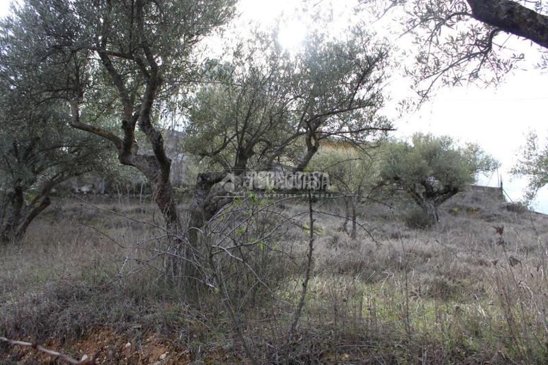 Foto 1ac917ef-5077-4da4-91fa-4177ce0fe003. Residential plot in Santorcaz