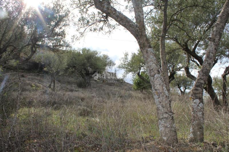 Foto 9563b138-aede-47e4-b751-df887d064028. Residential plot in Santorcaz