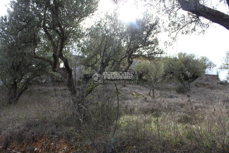 Foto 9bcb0eea-e5da-4208-bc65-d61230a6434c. Residential plot in Santorcaz