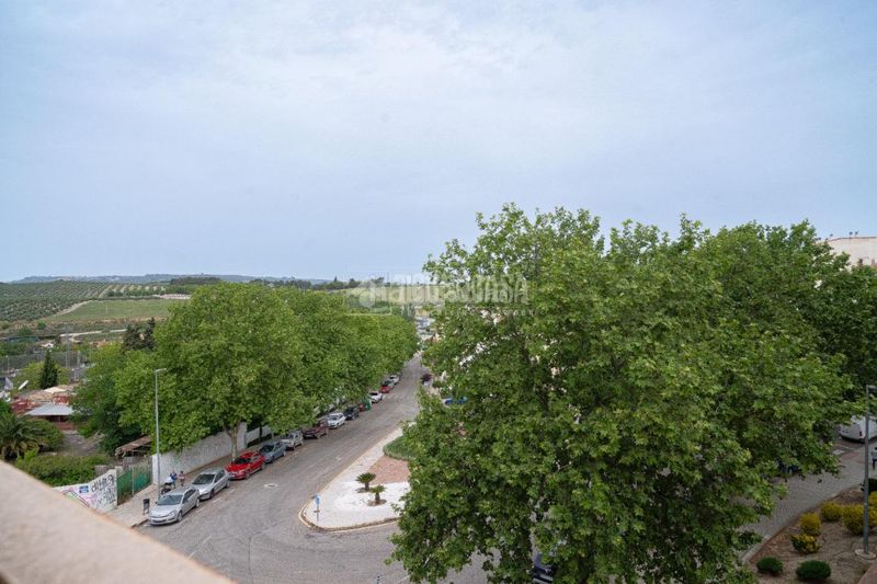 Foto e7711429-8497-4553-ad3c-639b3ce61c40. Pis amb calefacció a Úbeda