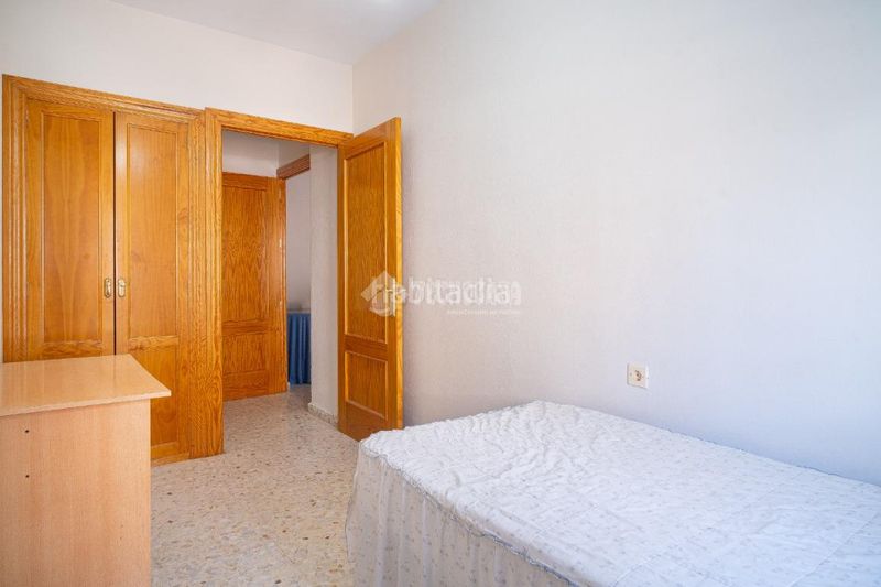 Foto b14f3746-8982-404b-a893-538f07ab5332. Pis a Úbeda