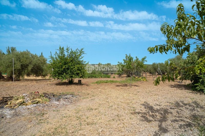 Foto ddf54129-3014-4508-b561-596db48dff1b. Masia amb calefacció a Torreperogil