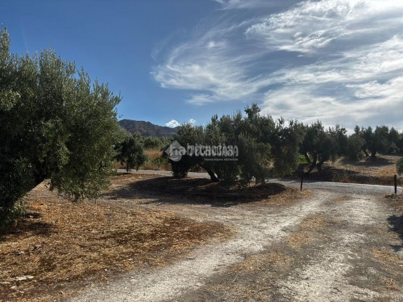 Foto 5bc0446b-c768-4cf4-892a-b8c09d07e289. Finca rústica a Jódar