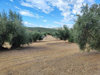 Finca rústica a Chilluévar