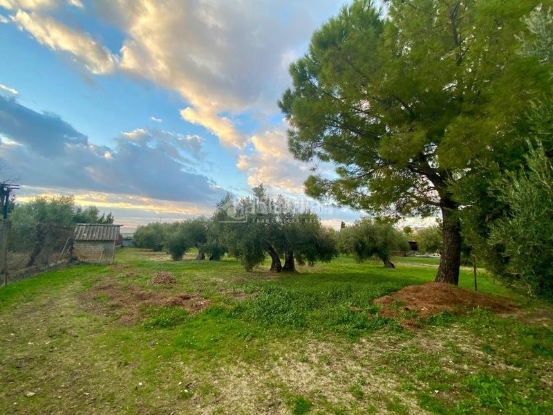 Foto 2bebaa11-56eb-4cce-904d-13571e59f5ce. Casa aparellada amb calefacció aparcament a Úbeda