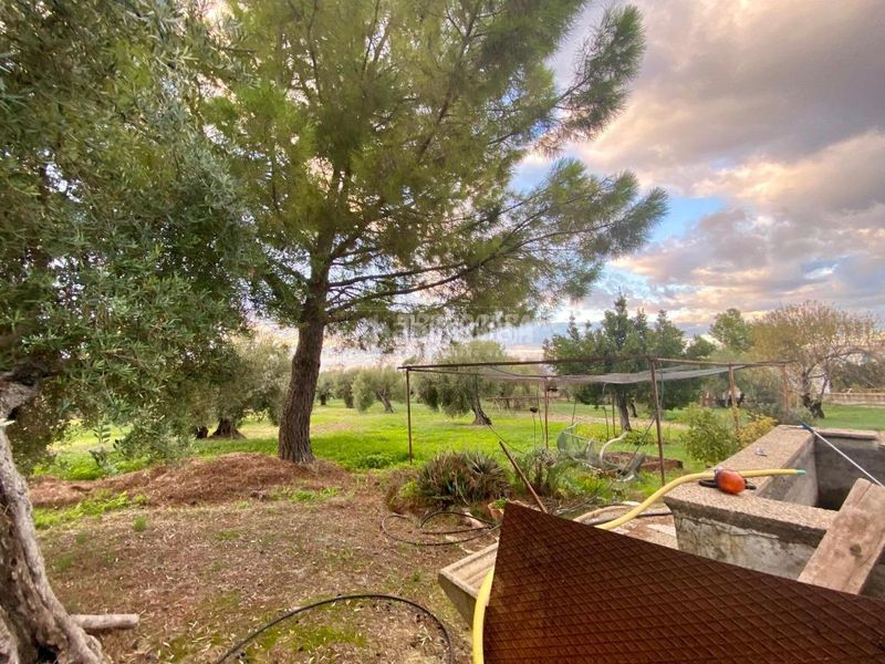 Foto ecb0b7b3-85a3-42a9-9213-db9398636d5e. Casa aparellada amb calefacció aparcament a Úbeda