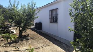 Masia a Benacazón. Finca rúst. en venta en benacazón, 2 dormitorios.