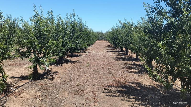 Foto 6da889c9-4da9-4071-902e-bfcd962bc216. Masía finca rúst. en venta , 2 dormitorios. en Benacazón