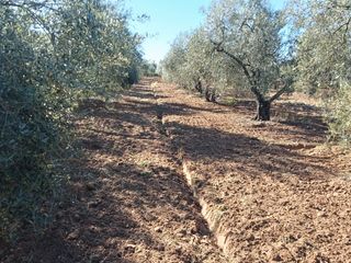 Casale in Pilas. Finca rúst. en venta en urbanización.