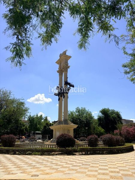 Foto b4c618fe-92b7-4f06-ae18-23722f0c978f. Pis a Alfalfa - Santa Cruz Sevilla
