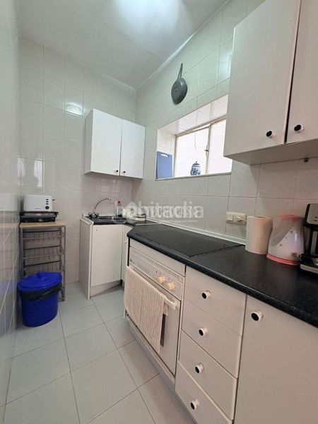 Foto c8c0687e-6083-4ad4-a9bf-4554bfe5315a. Pis a Alfalfa - Santa Cruz Sevilla