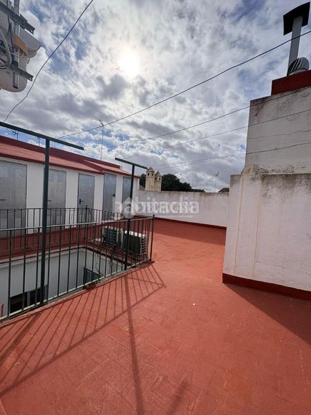 Foto fa97e056-c28b-4ab3-a331-818960db53fc. Pis a Alfalfa - Santa Cruz Sevilla