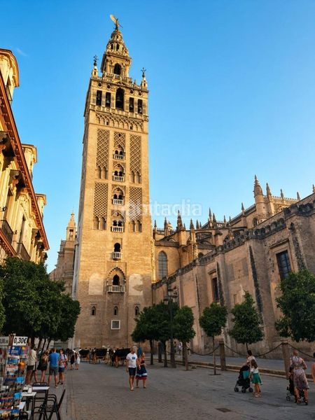 Foto fe09ea5e-5e04-45b6-b2cf-65ed11905aa0. Pis a Alfalfa - Santa Cruz Sevilla