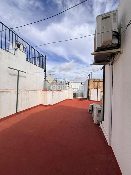Foto fe1936a9-36c0-4515-b023-e329be34023d. Pis a Alfalfa - Santa Cruz Sevilla