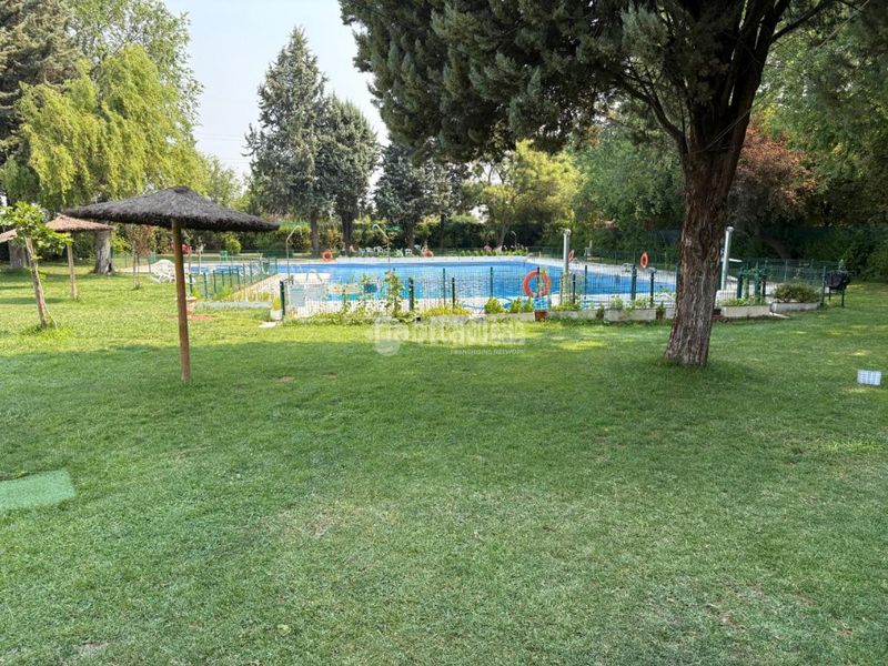 Foto a5a8508a-67b2-444e-b916-1e741af36239. Pis amb calefacció piscina a Humanes de Madrid