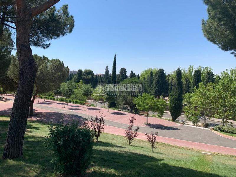 Foto b7b5df86-bd02-491d-8de6-90c089a2498b. Estudio piso en venta en Pueblo Nuevo Madrid