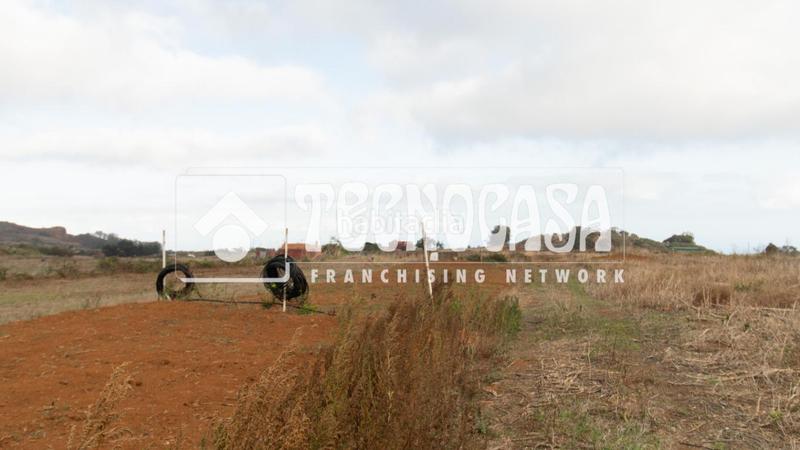 Foto c698065d-e41f-434f-9e2f-ea2c7110b874. Fondo rustico in La Esperanza - Llano del Moro Rosario (El)
