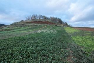 Landgut in La Esperanza - Llano del Moro. Terrenos en venta en san cristóbal de la laguna